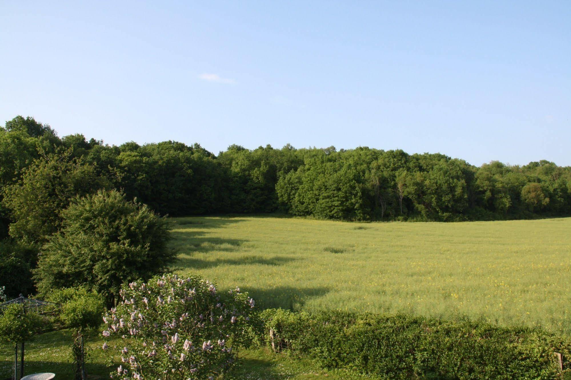 La Raimbaudiere Bed and Breakfast Guigneville-sur-Essonne Exteriör bild