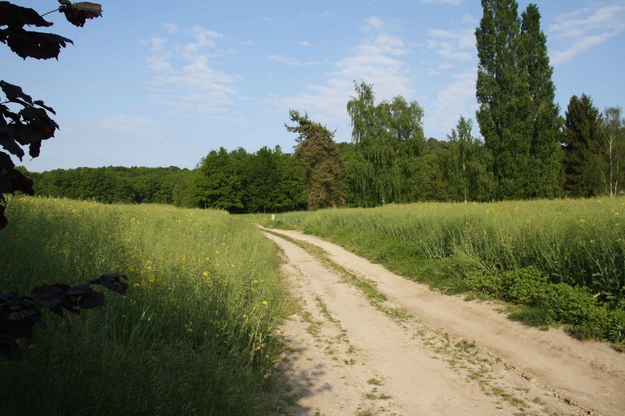 La Raimbaudiere Bed and Breakfast Guigneville-sur-Essonne Exteriör bild