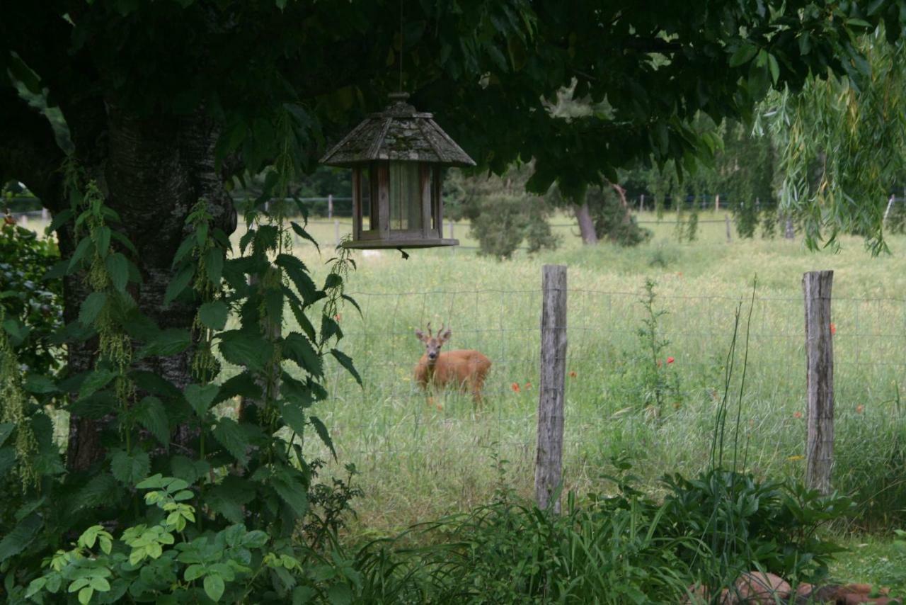 La Raimbaudiere Bed and Breakfast Guigneville-sur-Essonne Exteriör bild